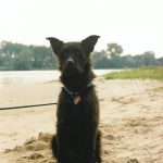 Bruno-foto